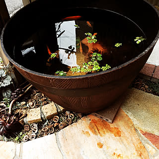 希少性 漫画 結晶 樽 プランター 作り方 Akrimax Pap Com