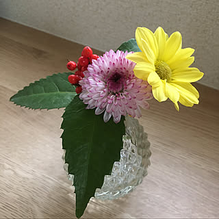 花瓶 菊のインテリア実例 Roomclip ルームクリップ