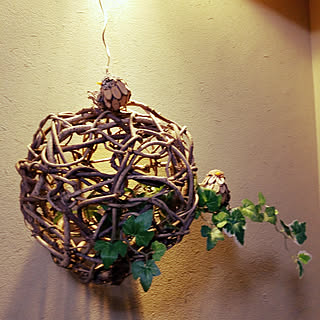 あけびのつるのインテリア実例 Roomclip ルームクリップ