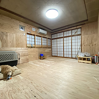 大型犬だけど室内犬のインテリア実例 Roomclip ルームクリップ