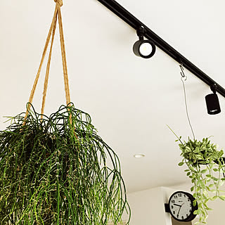 カフェ風/北欧/モノトーン/男前/観葉植物...などのインテリア実例 - 2020-01-24 09:36:09