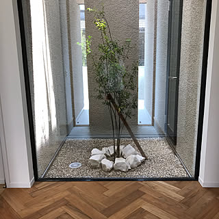 玄関 入り口 ガラス張りのインテリア実例 Roomclip ルームクリップ