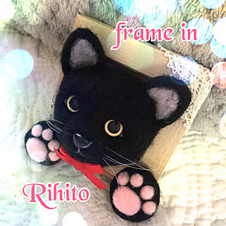 クオリティが高すぎる/anzさんのフレームinりひとくん♡/黒猫りひとくん?笑/いつもいいねやコメありがとうございます♡/RCの出会いに感謝♡...などのインテリア実例 - 2019-05-24 10:53:16