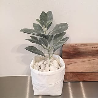 キッチン/石/ペーパーバッグ/白/フェイクグリーンのインテリア実例 - 2017-05-24 13:44:33