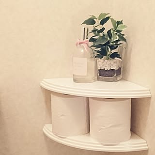 バス/トイレ/賃貸/賃貸でも諦めない!/おうちが好き/どんなお部屋にしようかな...などのインテリア実例 - 2017-06-12 22:37:01