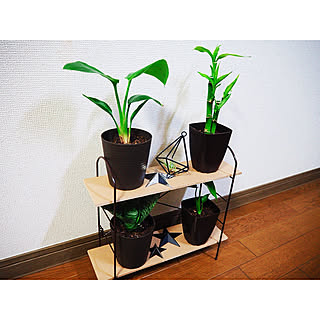 ダイソー ミリオンバンブーのインテリア実例 Roomclip ルームクリップ