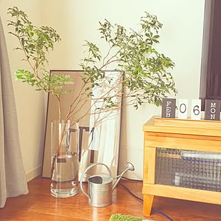 リビング/コンセント隠し/Aoyama Flower Market/アルテック/北欧...などのインテリア実例 - 2017-02-06 12:43:56