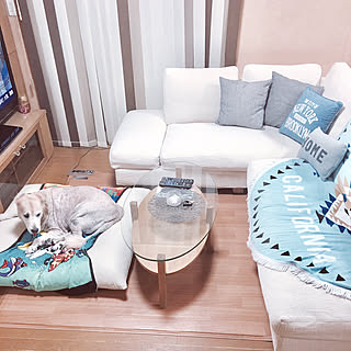 しまむら 大型犬のいる暮らしの商品を使ったおしゃれなインテリア実例 Roomclip ルームクリップ