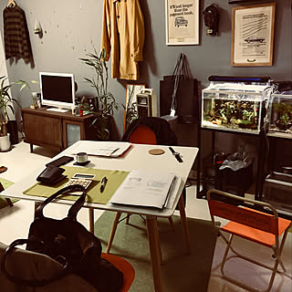 メダカ カインズホームのインテリア実例 Roomclip ルームクリップ