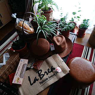 机/こんにちは⑅◡̈* ❁/お金をかけずにオシャレに**/狭い家/観葉植物のある暮らし...などのインテリア実例 - 2018-04-11 14:27:08