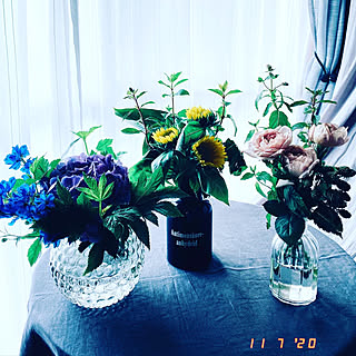 花瓶 ミントのインテリア実例 Roomclip ルームクリップ