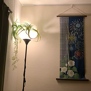 壁 天井 朝顔のおしゃれなアレンジ 飾り方のインテリア実例 Roomclip ルームクリップ