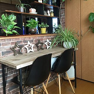 観葉植物 カウンターテーブル Diyのインテリア 手作りの実例 Roomclip ルームクリップ