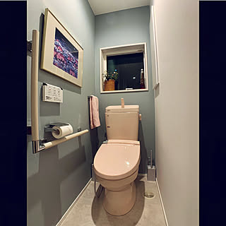 ピンクのトイレのおしゃれなアレンジ 飾り方のインテリア実例 Roomclip ルームクリップ