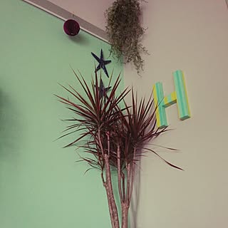 リビング ドラセナ コンシンネ レインボーのインテリア実例 Roomclip ルームクリップ