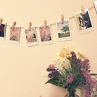 100均 チェキのインテリア実例 Roomclip ルームクリップ