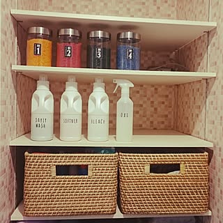 女性の、、家族住まいの「棚」についてのインテリア実例