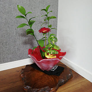 床の間 生花のインテリア実例 Roomclip ルームクリップ 床の間 生花のインテリア実例 Roomclip ルームクリップ
