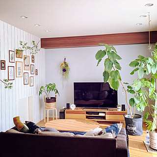 リビング/観葉植物/無印良品/フォトフレーム/IKEA...などのインテリア実例 - 2017-12-22 19:58:58