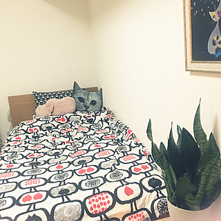 ベッド周り/IKEAファブリック/ネコ雑貨大好き/IKEA/猫バカ部...などのインテリア実例 - 2018-03-07 22:41:35