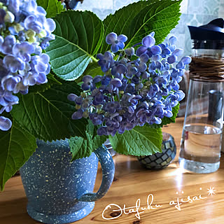 ポップコーンあじさいのインテリア実例 Roomclip ルームクリップ