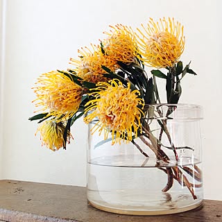 今月の花のインテリア実例 Roomclip ルームクリップ