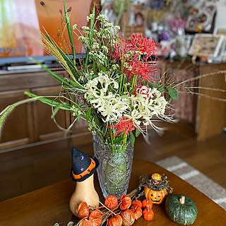 彼岸花 曼珠沙華のインテリア実例 Roomclip ルームクリップ