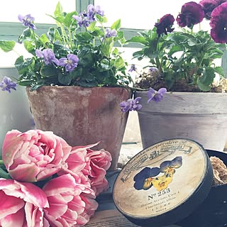 ベッド周り/花の命は短い/ビオラの押し花/アンティーク風/デコパージュBOX...などのインテリア実例 - 2015-05-27 18:48:49