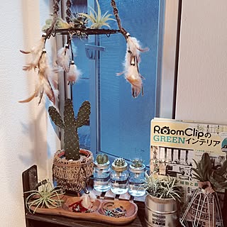 壁/天井/サボテン水栽培/RoomClip Style/NO GREEN NO LIFE/サボテン...などのインテリア実例 - 2016-06-07 20:55:53