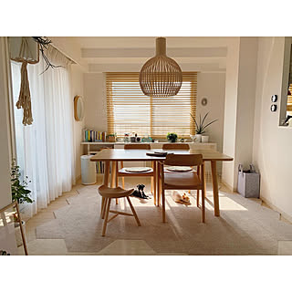 ブラインド 犬のいる暮らしのインテリア実例 Roomclip ルームクリップ