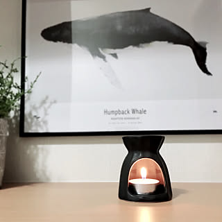 玄関 入り口 クジラのインテリア実例 Roomclip ルームクリップ 玄関 入り口 クジラのインテリア実例 Roomclip ルームクリップ