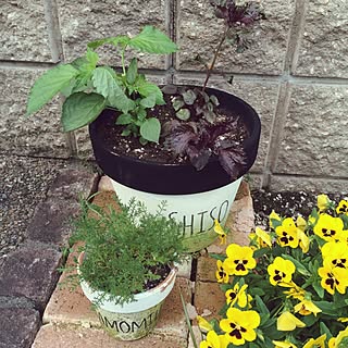 ローメンテナンス花壇のインテリア実例 Roomclip ルームクリップ