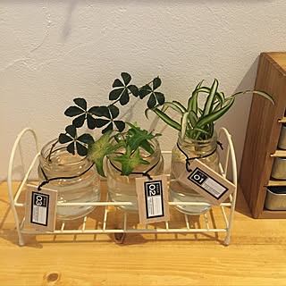 バス/トイレ/イベント参加/10分でできる100均リメイク/セリア/キャンドゥ...などのインテリア実例 - 2016-09-04 15:33:40