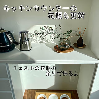 猫柳 花風水のインテリア実例 Roomclip ルームクリップ