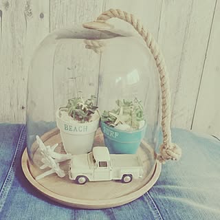 リビング/ガラスドーム/WTW/多肉植物/西海岸インテリアのインテリア実例 - 2016-10-29 20:53:52