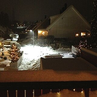玄関/入り口/Garden view /Christmas lights/Snow/house...などのインテリア実例 - 2013-12-10 04:05:18