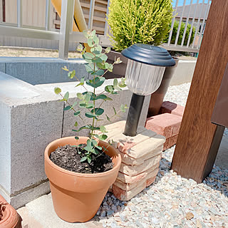 カインズホーム ガーデニング 花壇作りのまとめページ Roomclip ルームクリップ カインズホーム ガーデニング 花壇作りのまとめページ Roomclip ルームクリップ