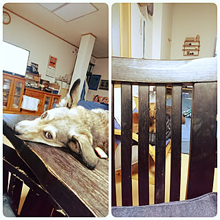 部屋全体/押し逃げごめんなさい/100均アイテム/収納/連投すみません...などのインテリア実例 - 2017-09-13 23:16:01