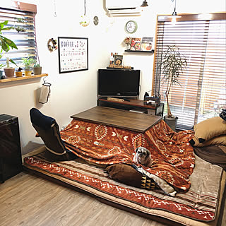 女性の、4LDK、家族住まいの「リビング」についてのインテリア実例