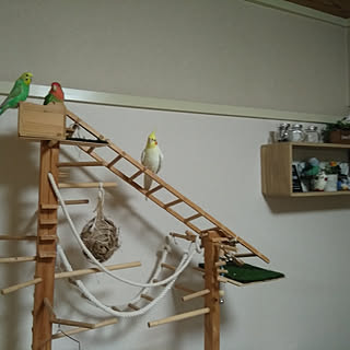 アスレチックdiyのインテリア 手作りの実例 Roomclip ルームクリップ