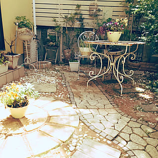 ブロカント/お気に入り/花のある暮らし/グリーンのある暮らし/コベントガーデン...などのインテリア実例 - 2019-05-05 09:16:24