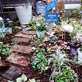 クリスマスリース モミジバフウの実のインテリア実例 Roomclip ルームクリップ