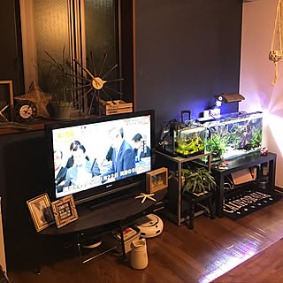観葉植物 熱帯魚水槽のインテリア実例 Roomclip ルームクリップ 観葉植物 熱帯魚水槽のインテリア実例 Roomclip ルームクリップ