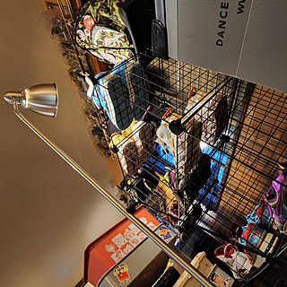 壁 天井 クレヨンしんちゃんのインテリア実例 Roomclip ルームクリップ 壁 天井 クレヨンしんちゃんのインテリア実例 Roomclip ルームクリップ