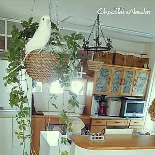 キッチン/RCでの素敵な出逢いに感謝❤/お暇を見つけてコメント返信します!/フォローして頂きありがとうございます!/植物...などのインテリア実例 - 2017-06-10 07:48:20