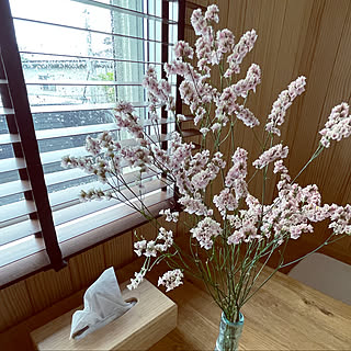 お花のある暮らし ハイブリッドチースのインテリア実例 Roomclip ルームクリップ