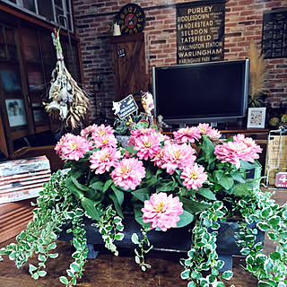 玄関/入り口/寄せ植え/花のある暮らし/庭のあるマンション/マンションリノベーション...などのインテリア実例 - 2019-10-11 22:28:34