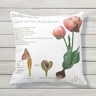 ホワイトインテリア/ナチュラル/パリ/フランス/ブロカント...などのインテリア実例 - 2019-12-17 23:37:38