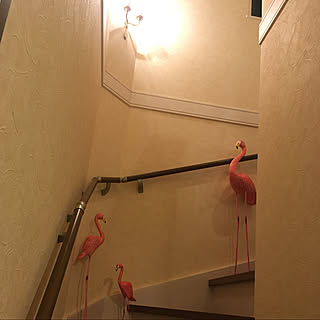 漆喰風クロスのインテリア実例 Roomclip ルームクリップ 漆喰風クロスのインテリア実例 Roomclip ルームクリップ