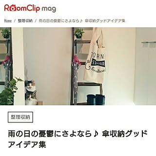 玄関/入り口/2人と3匹暮らし/マンション暮らし/ねこと暮らす。/シンプルに暮らす...などのインテリア実例 - 2017-06-11 05:39:42